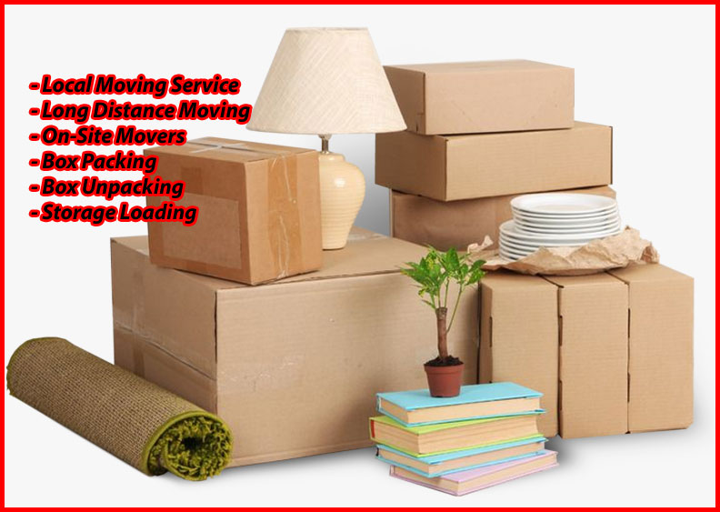 Packers And Movers Noida Sector 50